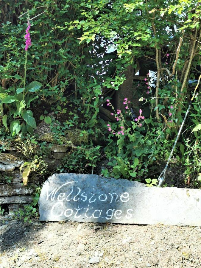 Wellstone Cottages - Coach House Llanfyrnach Luaran gambar